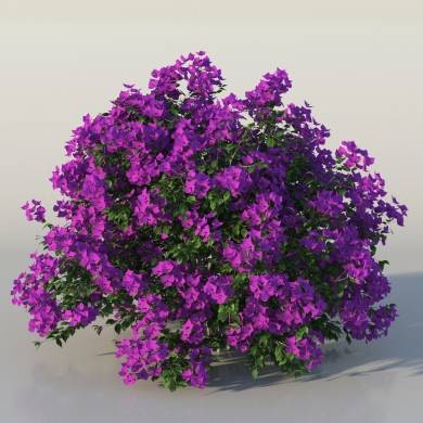 The3dGarden is a range of high-quality tree and plant models available ...